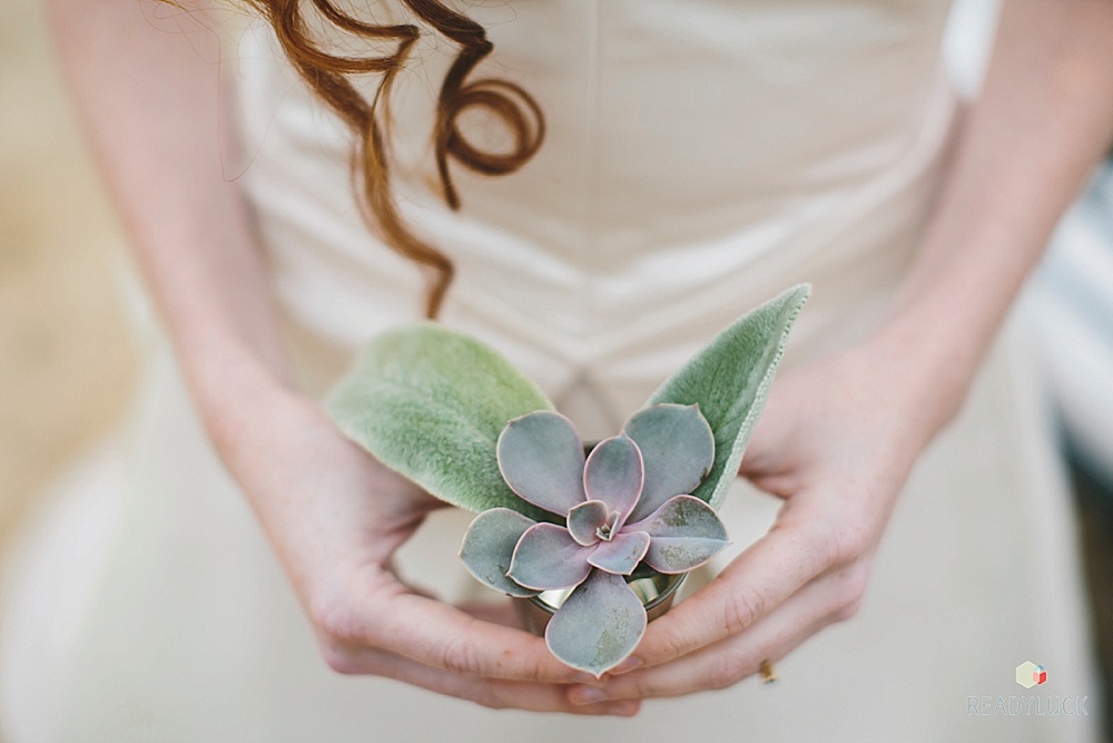 (C) Lindsay Hite / www.readyluck.com